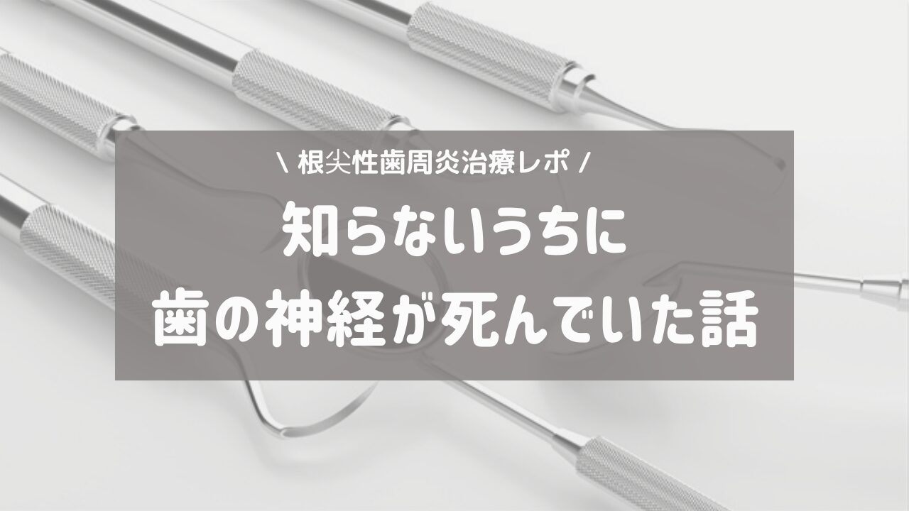【体験談】虫歯じゃないのに歯の神経が死んでると言われた話（根尖性歯周炎）